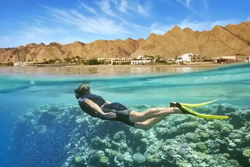 Tiran Island Tour